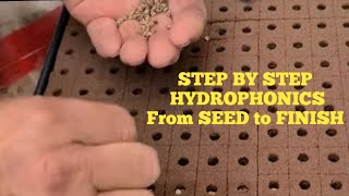 Hydroponic Seed to Finish STEP BY STEP [upl. by Nevaj]