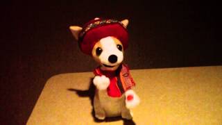 Christmas Chihuahua sings Donde Esta Santa Claus [upl. by Nacim]