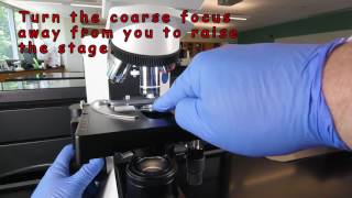 How to Focus Using Oil Immersion Microscopy 1000X [upl. by Eyahsal]