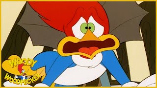 New Woody Woodpecker  No Time Like A Present  Full Episodes [upl. by Lerrehs]