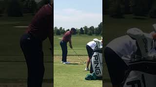 Xander Schauffele Golf Swing [upl. by Ydac]