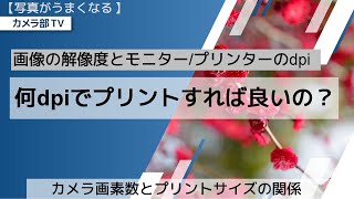 【写真がうまくなる】画像の解像度とモニタープリンターのdpi「何dpiでプリントすれば良いの？」～カメラ画素数とプリントサイズの関係～ [upl. by Llorrad]