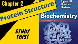 Lippincotts Biochemistry Review Chapter 2 Protein Structure  Study This [upl. by Teddman]