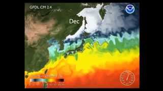 Kuroshio Current [upl. by Ocire]