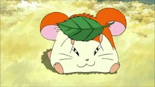 Hamtaro piccoli criceti grandi avventure  Sigla completa [upl. by Neztnaj]