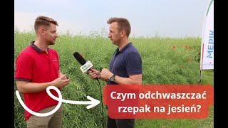 Jesienna ochrona rzepaku najważniejsza [upl. by Keligot]