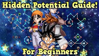 Hidden Potential Guide For Beginners DBZ Dokkan Battle [upl. by Htieh]