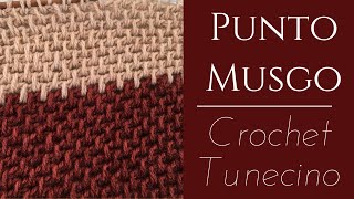 Punto Musgo Crochet Tunecino [upl. by Ttocserp]