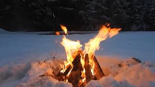 Relaxing Crackling Campfire 8hrs in Forest Snow to Help You Relax [upl. by Adniram]