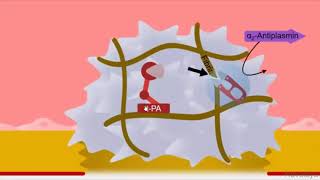 Fibrinolytics Pharmacology [upl. by Eivol]