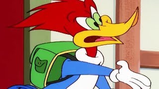 Woody Woodpecker Show  Inn Trouble  1 Hour Compilation  Cartoons For Children [upl. by Broderic808]