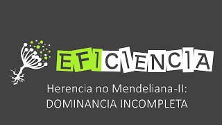 DOMINANCIA INCOMPLETA O INTERMEDIA Herencia no Mendeliana II [upl. by Eirellav]