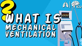 Ventilator Circuits and Filters [upl. by Aikim492]