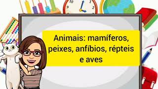 animais mamíferos peixes anfíbios répteis e aves [upl. by Morty]