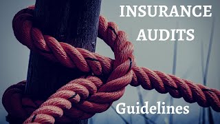 Audit in Insurance Companies  Basic Guidelines [upl. by Neumark]