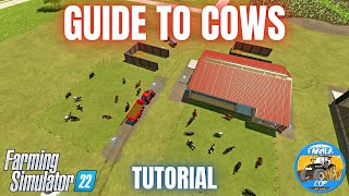 GUIDE TO COWS  Farming Simulator 22 [upl. by Naivart]