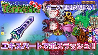 【初見実況】ゼニスの性能を完全に引き出した男… テラリア 第26夜【Terraria ver14 日本語化MOD導入版】 [upl. by Ethelinda54]