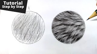 How to Draw Realistic Fur for Beginners [upl. by Drice463]