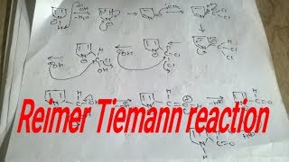 Reimer tiemann reaction mechanism heterocyclic [upl. by Nus]