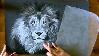 Aperçu  Technique crinière lion aux pastels secs [upl. by Clywd]