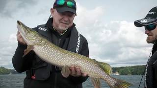 Lake Muskoka Walleye Northern Pike and Smallmouth Bass  Fishn Canada [upl. by Aicert]