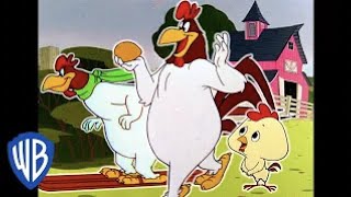 Looney Tunes en Latino  El Gallo Claudio en la granja  WB Kids [upl. by Ahsi]