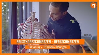 Brustkorbschmerzen 🔸Herzschmerzen 🔸 Erklärung  Ursachen  Übungen [upl. by Annissa36]