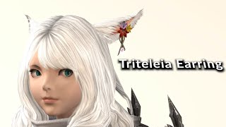 FFXIV Triteleia Earring Glamour [upl. by Namreg]