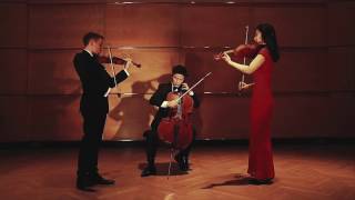 Astor Piazzolla  Oblivion arr for String Trio [upl. by Yehudit]