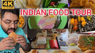 INDIAN FOOD TOUR in Vadodara India  COVERING RESTAURANTS amp STREET FOOD VENDORS [upl. by Saddler]