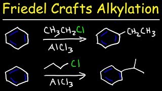 Friedel Crafts Alkylation of Benzene Reaction Mechanism  Tons of Examples [upl. by Fredenburg]