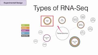 StatQuest A gentle introduction to RNAseq [upl. by Ancelin]