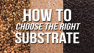 HOW TO Choose an Aquarium Substrate [upl. by Shriver830]