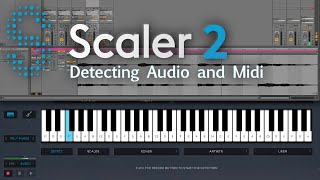 Scaler 2 Workflow  Audio amp Midi Detection [upl. by Eus755]