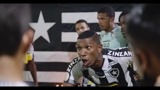 ACESSO TOTAL BOTAFOGO  WTORRE NO NILTON SANTOS [upl. by Atte]