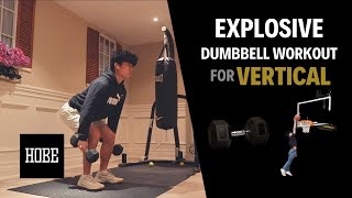 EXPLOSIVE Dumbbell Exercises to JUMP HIGHER  Vertical Jump [upl. by Athalee]