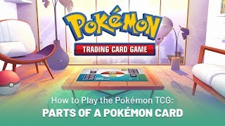 How to Play the Pokémon TCG Parts of a Pokémon Card [upl. by Gridley157]