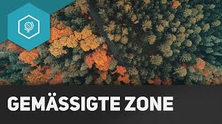 Die Gemäßigte Zone einfach erklärt  Klimazonen 6 [upl. by Steinberg]