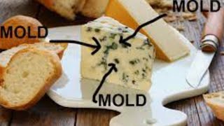 Blue Cheese  healthy or harmful [upl. by Sidman805]