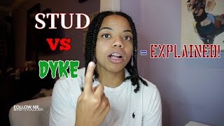 THE DIFFERENCE BETWEEN STUDS AND DYKES [upl. by Barnabe]