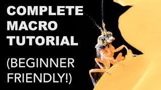 Complete Macro Photography Tutorial for Beginners [upl. by Ehgit]