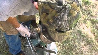 Hoof trimming Farrier correcting 3 unbalanced horse hooves [upl. by Doelling]