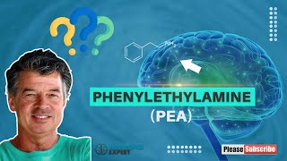 Your Brain On Phenylalanine [upl. by Alboran]