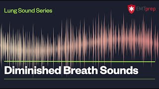 Diminished Breath Sounds  EMTprepcom [upl. by Fagen]