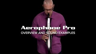 Roland Aerophone Pro Overview and Sounds [upl. by Yddeg]