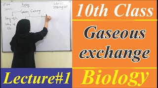 10th Class Biology Ch 10  Gaseous Exchange in Humans  Matric Class Biology  Lecture 1 [upl. by Cassella604]