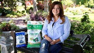 How Iron Tone Can Help Plants Grow [upl. by Pesvoh16]