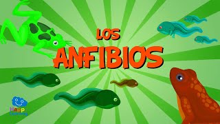 Los Anfibios  Vídeos Educativos para Niños [upl. by Ys]