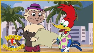 Woody Woodpecker Show  Aunt Pecky  1 Hour Compilation  Videos For Kids [upl. by Jessalyn]