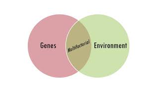 Polygenic inheritance [upl. by Aivatnuahs566]